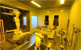 蘇州內資汽車內飾件自動噴涂線